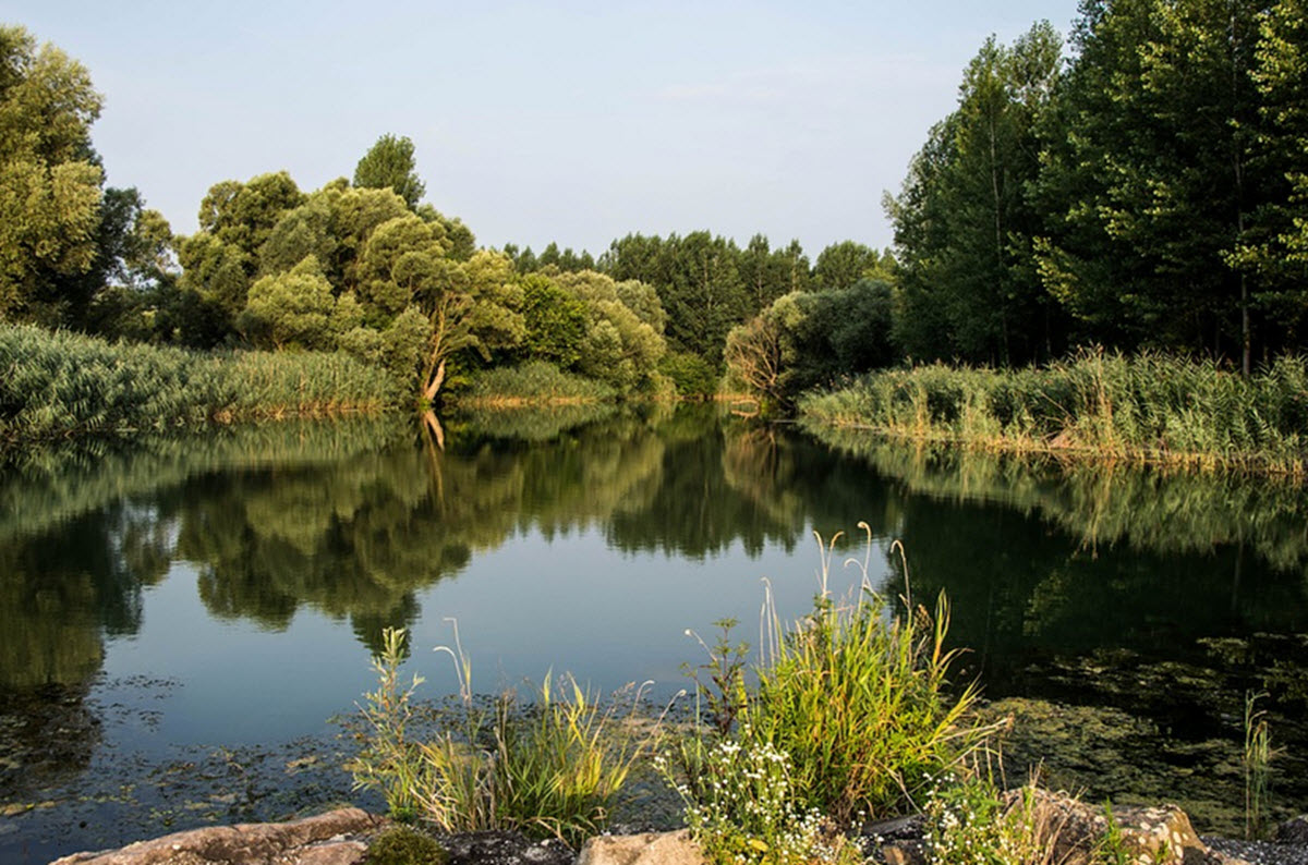 Donau-Auen nationalpark